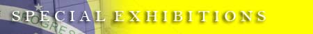 Special Exhibitions